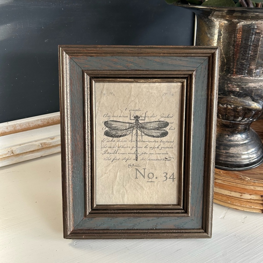 Rustic Brass and Green Frame with Dragonfly Framed Art